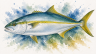 Yellowtail-kingfish-1